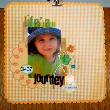 Life's a Journey***Pink Paislee