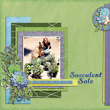 Succulent Sale