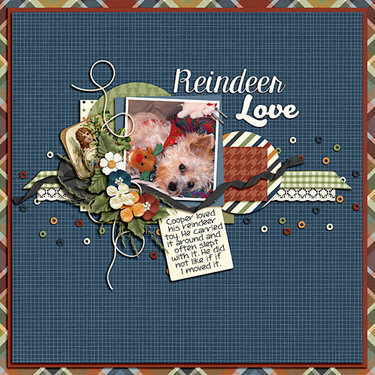 Reindeer Love