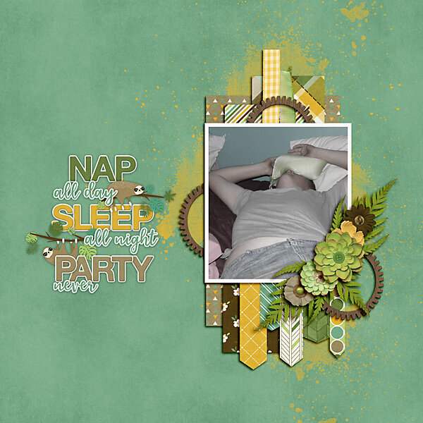 Nap All Day Sleep All Night Party Never