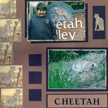 Cheetah Valley