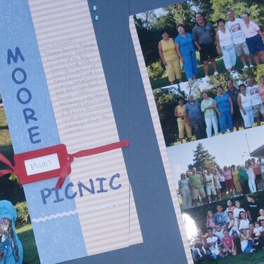 Moore Family Picnic