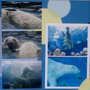 New Polar Bear Exhibit right