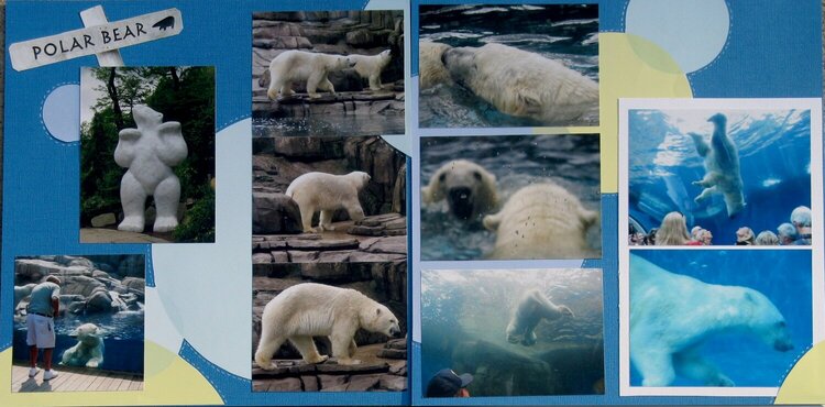 New Polar Bear Exhibit