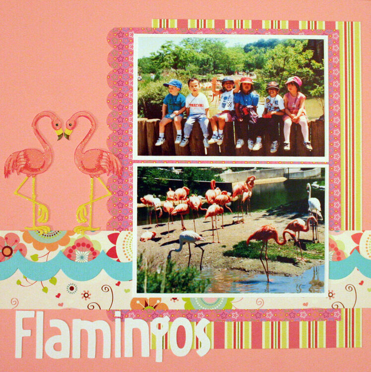 Flamingos