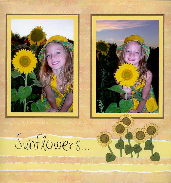 Sunflowers, Page 1