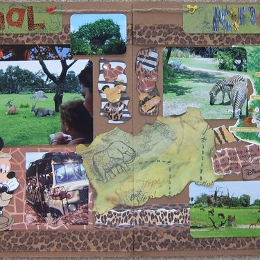 Animal Kingdom (2 pager)