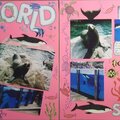 SeaWorld (2 page spread)