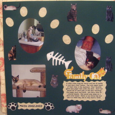 The Cats Meow Page 2