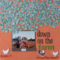 Down on the Farm