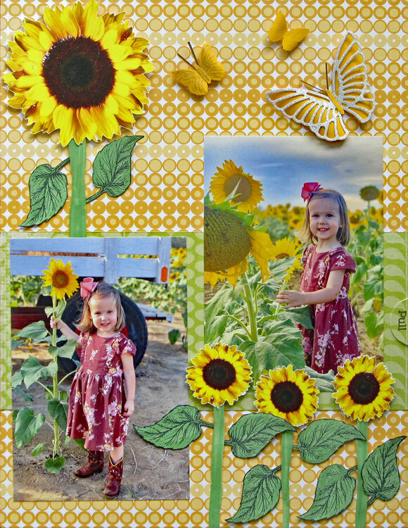 Sunflower Patch