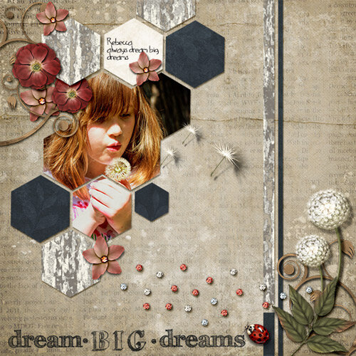Dream big dreams Rebecca