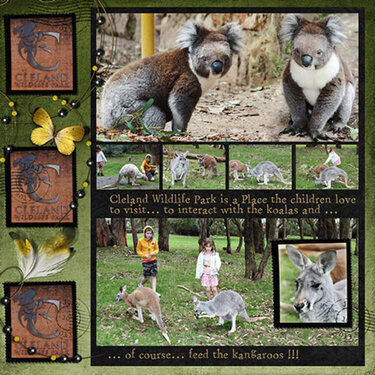 Cleland Wildlife Park - Koalas and Kangaroos
