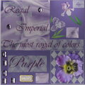 color journal - purple pages