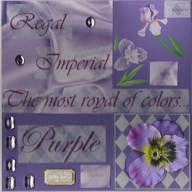 color journal - purple pages
