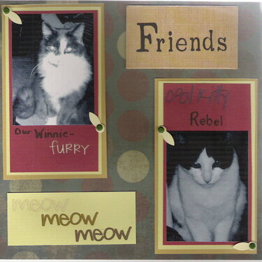 two page layout for pet circle journal