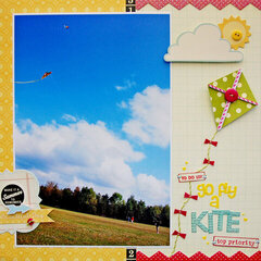 go fly a kite  **Pink Paislee**