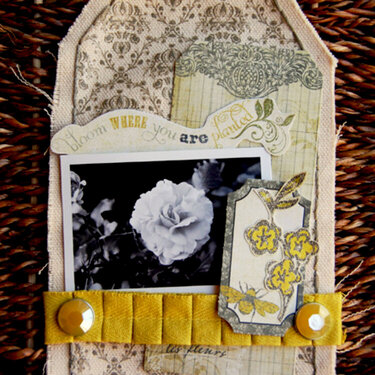 Queen Bee - bloom where you are planted  **Pink Paislee**