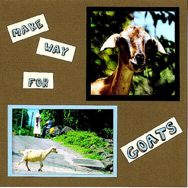 Make Way for Goats