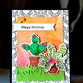 Happy Birthday - Cacti
