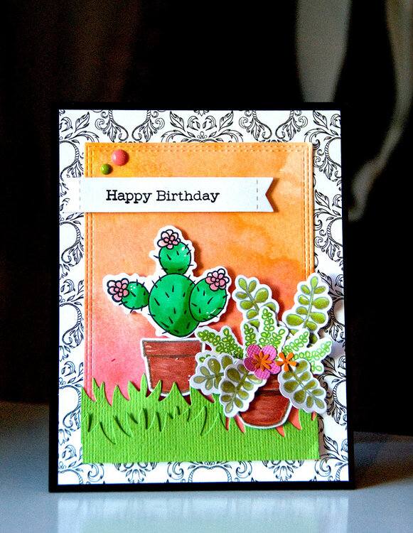 Happy Birthday - Cacti