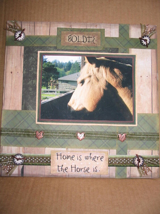Home is where the Horse is...