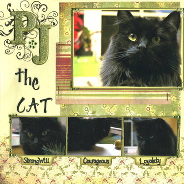 ~PJ the Cat~