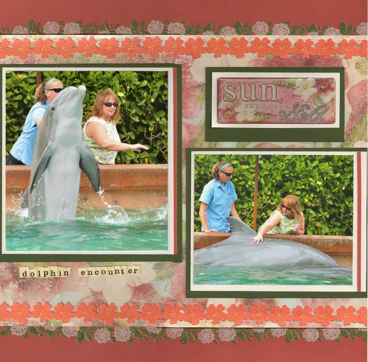 Dolphin Encounter