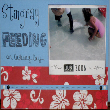Stingray Feeding