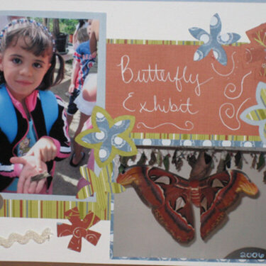 Butterfly Exhibit