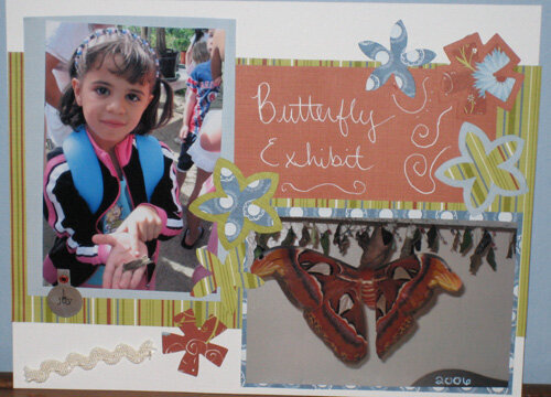 Butterfly Exhibit