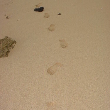 Footsteps on Shipwreck Beach