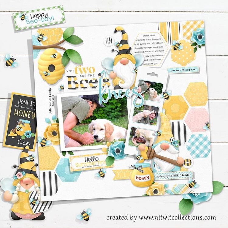 Fresh Summer Layout With Gnomes and Honey Bees