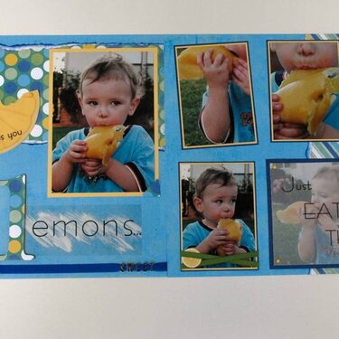 Life&#039;s Lemons