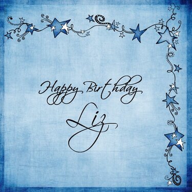 Happy Birthday  Liz!!!