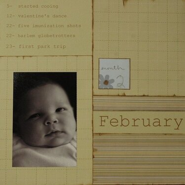 Baby Book February Page
