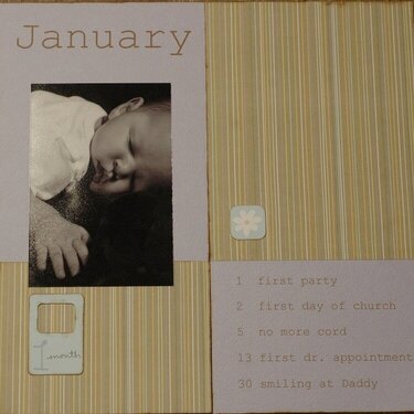 Baby Book January Page