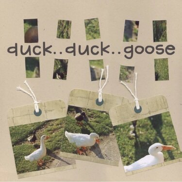 Duck Duck Goose