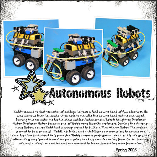 Autonomous Robots