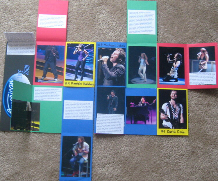 American Idol Live 2008 Hidden Pics and Journaling