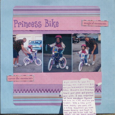 Princess Bike hidden Journaling