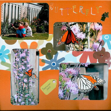 Flutterby Butterfly Page 2
