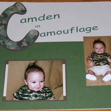 4mo LO--camo