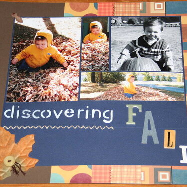 Discovering Fall