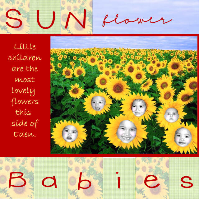 Sunflower Babies