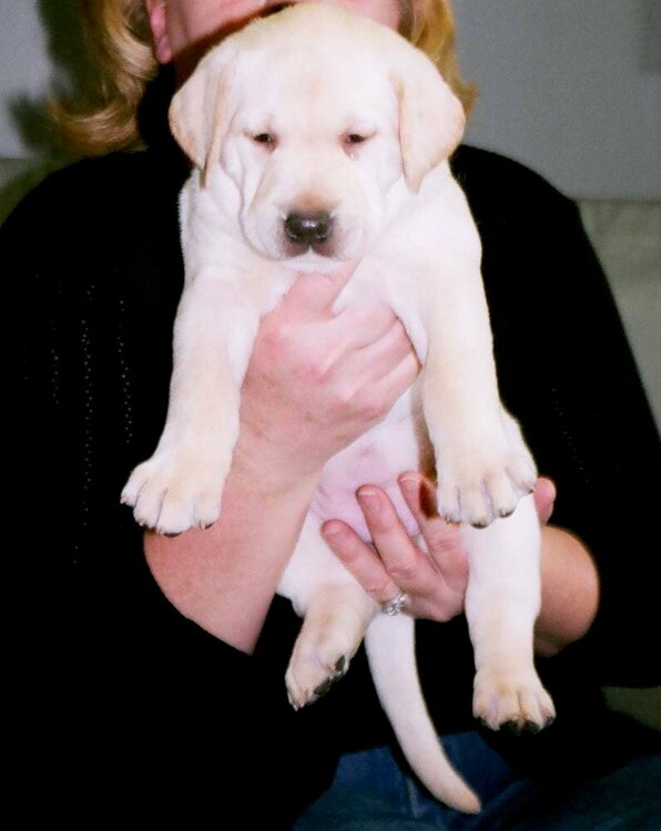 Lucy 5 weeks old