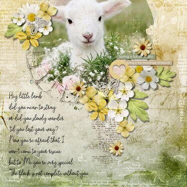 Hey Little Lamb