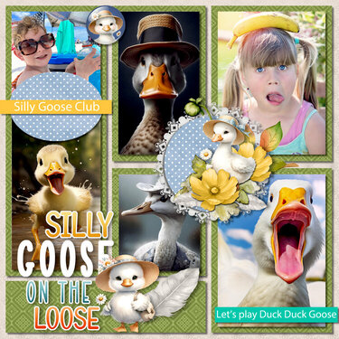 Silly Goose On The Loose
