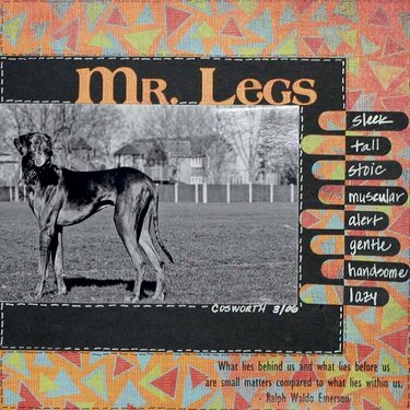 Mr. Legs