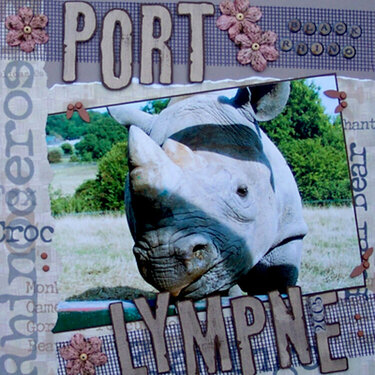 Port Lympne...Black Rhino
